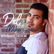Mohammad Hashemi Del Mibari