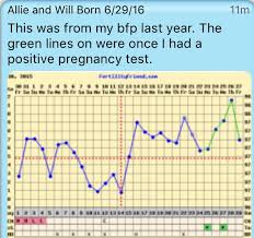 true to life basal body temperature dip basal body