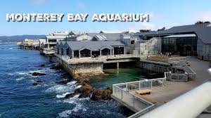 Montereybay.com provides a local community directory, events calendar, travel guide and visitor information for communities in and around the monterey bay area. Discovering The Wonders Of The Ocean With Monterey Bay Aquarium