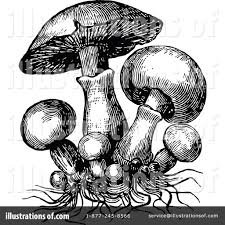Check spelling or type a new query. Mushroom Clipart 1119406 Illustration By Prawny Vintage