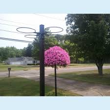 The store offers an extensive list of indoor and outdoor plants ready to be shipped to your front door. Pin On Front Yard Landscaping