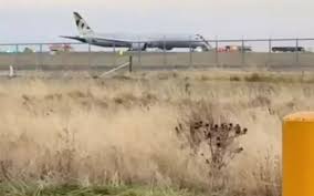 Image result for etihad airbus crash