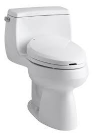 Toilet Bidet Combo From Kohler Kohler Toilet Water Sense
