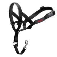 Check spelling or type a new query. Collier De Dressage Pour Chien Zooplus