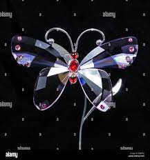 Mariposa de cristal fotografías e imágenes de alta resolución - Alamy