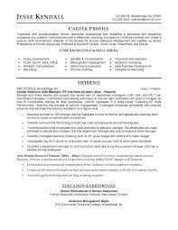 Human Resource Manager Resume Samples Visualcv Resume Samples ...