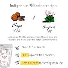 * add some to your coffee to. Buy Chaga Tea 100 Organic Chaga Mushrooms With Bergenia Natural Immune Support From Wild Siberian Lake Hand Picked By Baikal Tea Online In Indonesia B08ssky51s