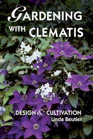 In the wild, clematis seed themselves in cracks between rocks, in open ground or wherever the seeds are blown by the wind. Gardening With Clematis Design Cultivation Beutler Linda Amazon De Bucher
