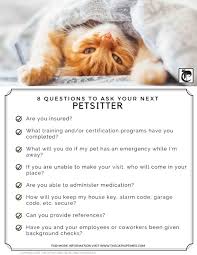 Their first offering was a dog treat called the flossie. How To Find The Perfect Pet Sitter Pet Sitters Pet Sitting Business Pets