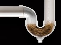 bleach dissolves hair mitch clemmons
