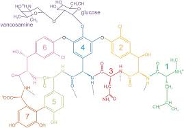 Image result for Vancomycin