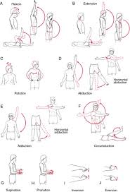 Range Of Motion Chart How To Pronounce Indices