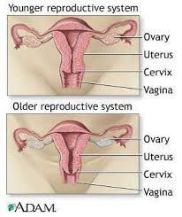 Hpv, or human papillomavirus, is not just a concern for young people. Pin On Naturally Treat Breast Cancer