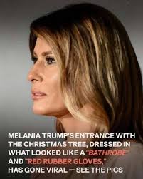 White House Christmas decorations unveiled