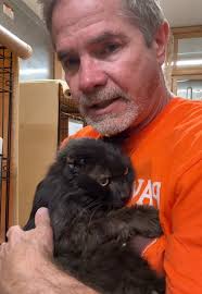 Adopt Washington: A Senior Cat Seeking a Loving Home