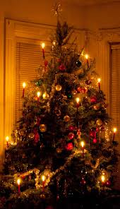 Best Christmas Tree Light Ideas That You Can Also Try At Your Home Christmas Decorations Apartment Cool Christmas Trees Christmas Apartment