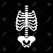 Rib cage pencil drawings portraits abstract artwork summary work of art thoracic cavity auguste rodin artwork. Rib Cage And Spinal Pelvic Bone Pixel Art Bones Anatomy 8 Bit Royalty Free Cliparts Vectors And Stock Illustration Image 127502540