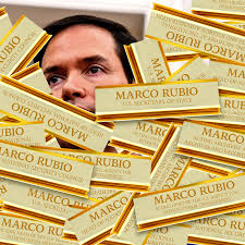 Image result for Yellow 1996 CIL