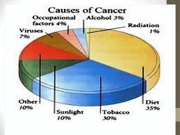 There are actually several binary, mutually exclusive categories fiber optic cables can fall under. Do Now 4 What Is Cancer What Are Some Warning Signs Of Cancer What Are Some Forms Of Treatment Ppt Download