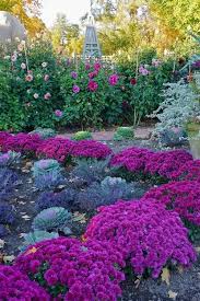 ڿڰ Incredible From All Things Shabby And Beautiful I Love Love Love These Purple Mums Garden Di Gartengestaltung Bilder Garten Garten Landschaftsbau