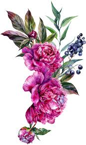 Image Result For Flower Vector Digital Flowers Flower Art Flower Painting