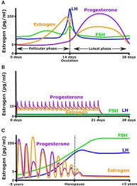 For some people, this means reducing alcohol consumption. Frontiers Effect Of Estrogen On Musculoskeletal Performance And Injury Risk Physiology