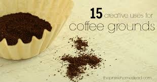 We use a mix of crushed egg shells and coffee grounds in every planting. 15 Creative Uses For Coffee Grounds The Prairie Homestead
