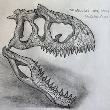 Read indominus rex (sketch) from the story my drawings 2 by creepy_the_wolf (just call me crepes) with 108 reads. Back To Drawing Indominus Rex Skull Study Drawing Study Draw Irex Indominusrex Dinosaur Jurassicpark Jurassicworl Indominus Rex Skull Drawing Skull