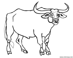 Dibujos De Toros Para Colorear
