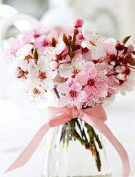 In 1934, the peace pledge union declared the white poppy flower a symbol of peace as a pledge that war must not happen again. What Flower Means Peace Flowers That Symbolize Peace All Rose Color Meanings