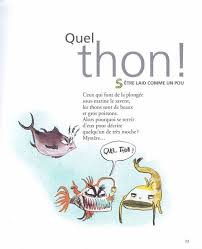 Lexique French Expressions French Phrases French Vocabulary