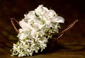 We used just white calla lilies in the bouquet in the picture below. Wedding Bouquets Vickies Flowers Brighton Colorado Florist