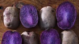 La patta blu americana non è da confondersi con la patata turchesa, un tubero anch'esso di colore blu, che invece è una varietà orticola della solanum tuberosum. Patate Viola Descrizione Della Varieta Con Buccia Di Lilla E Polpa Bianca Come Vengono Chiamate Le Recensioni Miami Truffle Wonderful Blue Danube Northern Lights