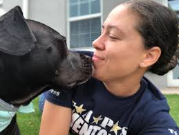 Pets help MacDill service members cope with military life