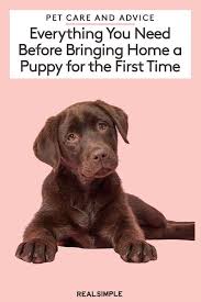 Everything You Need Before Bringing Home A New Puppy For The First Time New Puppy Checklist New Puppy Pets