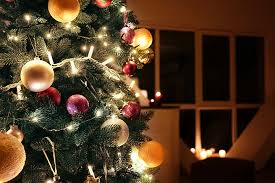 We did not find results for: Cut Your Own Christmas Tree From Tree Farms In Hollis Nh