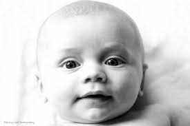 Falling Leaf Photography