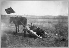 Horse Pulling Person In Travois Flag On Horse On Item Travoy Indian Ambulance From Native American Heritage Native American Art Native American Photos
