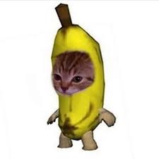 Mishi Bananas Banana Cats Funnycats Dailycats Hayvan Viralleri Komik Internet Fenomenleri Sevimli Hayvan Yavrulari