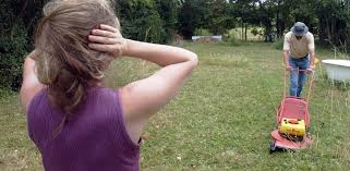 A t'on le droit de tondre le dimanche. Poitiers Ce Bruit De Tondeuse Qui Vous Gache Le Dimanche