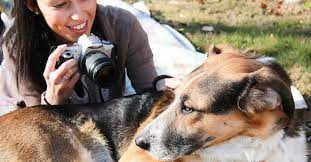 This offers more flexibility and reduces overhead how much profit can a pet photography business make? The 10 Best Pet Photographers Near Me With Free Estimates