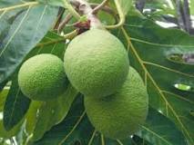 Image result