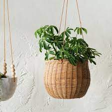 milania rattan hanging planter plants planters outdoor plant direct sunlight