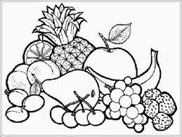 Tambahkan gambar daun yang tipis dan ranting yang pendek. Paling Keren 26 Gambar Buah Buahan Pensil Richa Gambar
