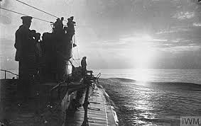 Image result for Primula 1982 Fleet