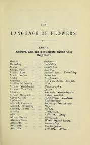 The Language Of Flowers Biodiversity Heritage Library Language Of Flowers Flower Meanings Book Writing Tips