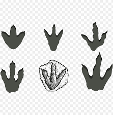 Download Dinosaur Footprints Reservation Stegosaurus Dinosaur Footprint Clipart Png Image With Transparent Background Toppng PSD Mockup Templates