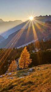 Praise Be To Thee My Lord With All Thy Creatures Especially To My Worshipful Brother Sun The Which Lights Up The Beautiful Sunrise Beautiful Nature Sunrise