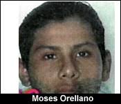 Print this news article