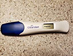 I Don T Want To Forget Being Pregnant This Mama S Life
